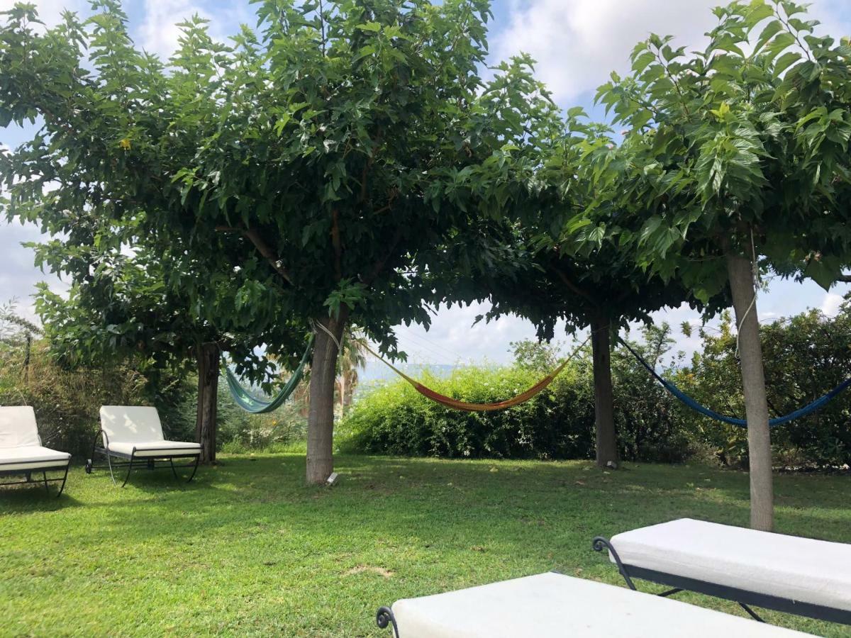 Aloasis Bed & Breakfast Grimaud Exterior photo